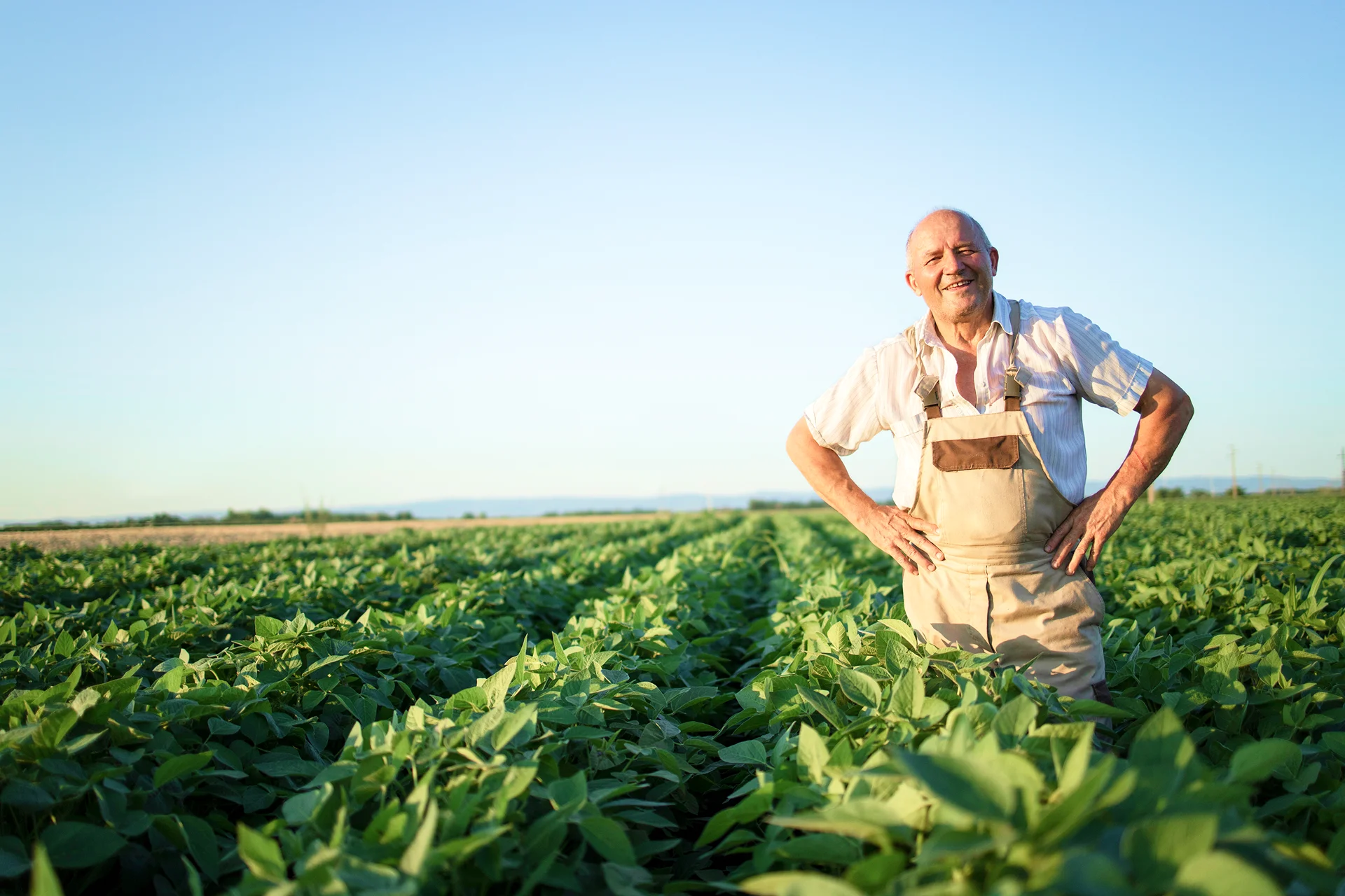 Cooperativa em Santa Catarina!