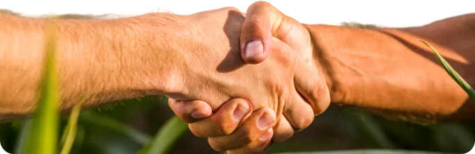 nvista em soluções para o campo