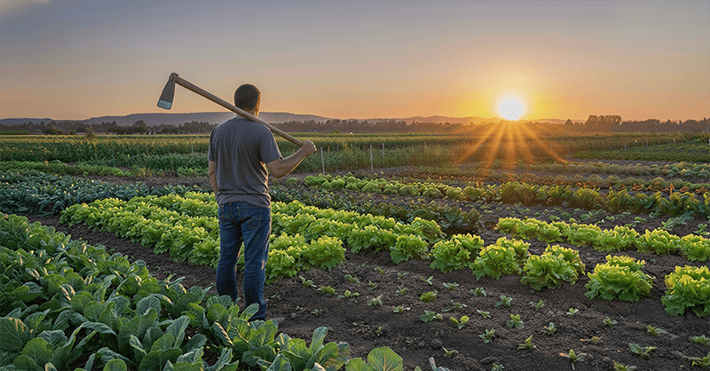Empréstimos/financiamentos